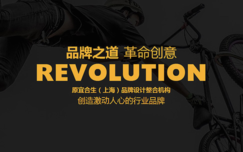 上海轻松盈网站设计制作开发公司案例-原宜合生-2